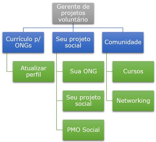 Gerente de Projetos voluntario