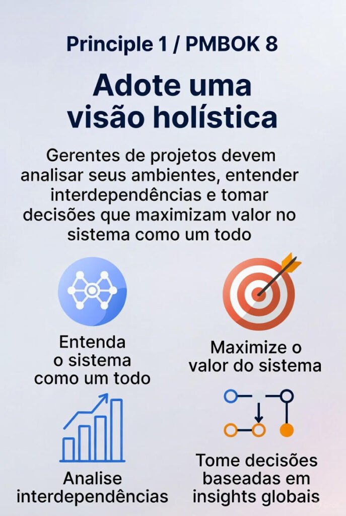 visão holística PMBOK 8